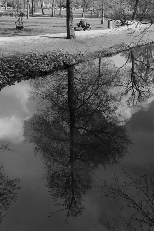 Amsterdam Vondelpark first signs of spring in black and white
