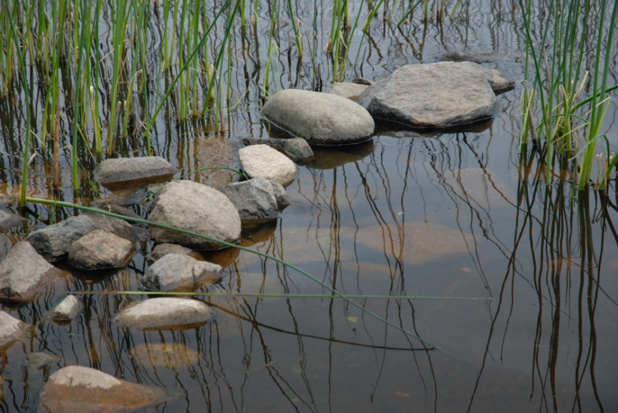 Stepping stones