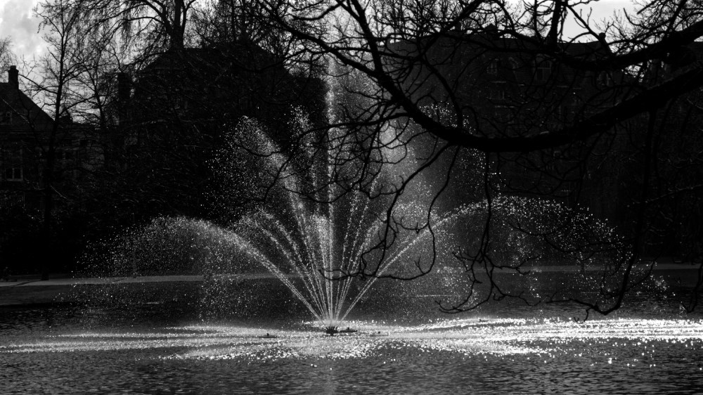 Fountain in Vondelpark in black and white