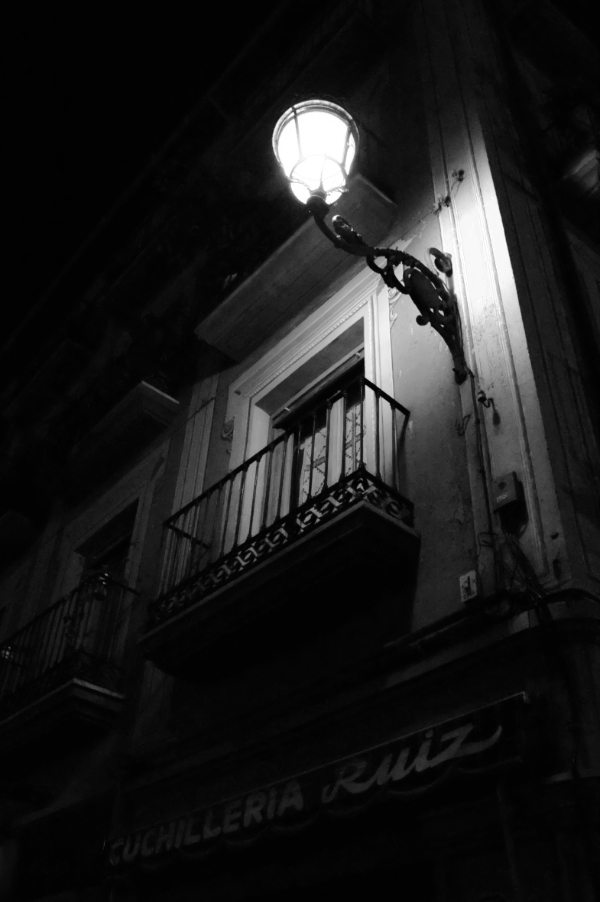 Granada evening twilight in black and white