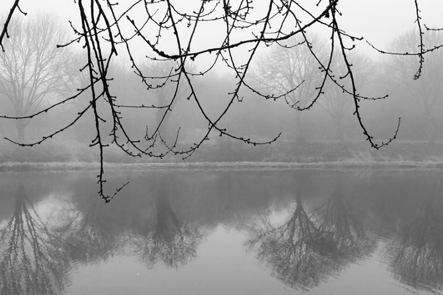 Lage Vaart Almere in black and white