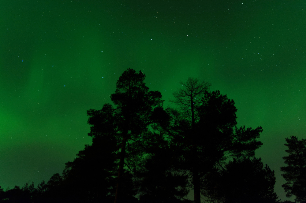 Northern lights above Seskarö, Zweden