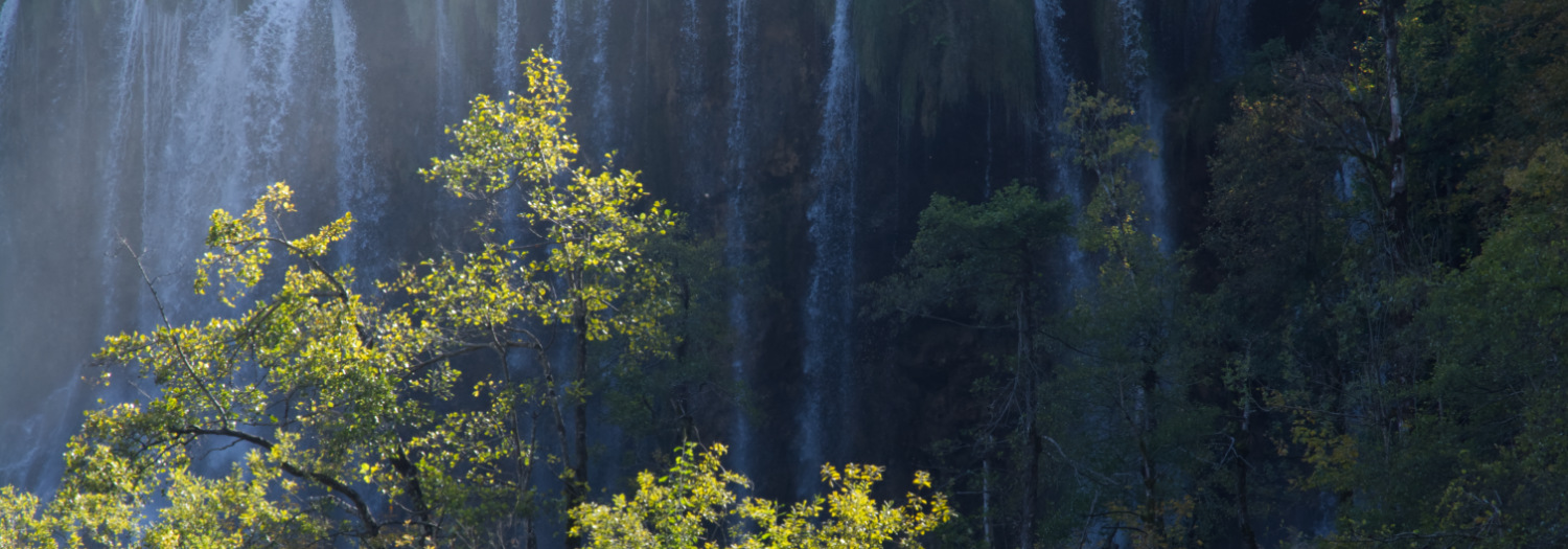 Trees in backlight against waterfalls