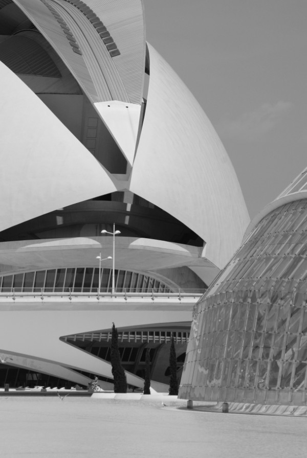 Buildings designed by Calatrava, Valencia in black and white