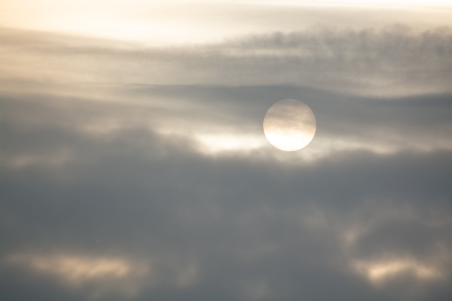 Novembermist above Weerwater, Almere