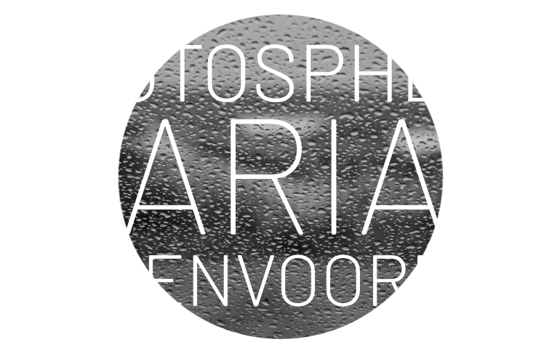 Marian Steenvoorden Photography